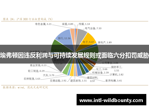 埃弗顿因违反利润与可持续发展规则或面临六分扣罚威胁 埃弗顿因违反利润与可持续发展规则或面临六分扣罚威胁
