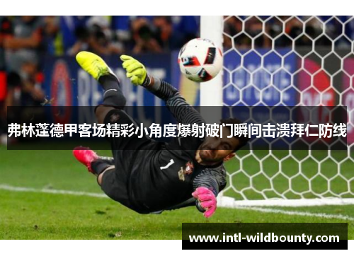 弗林蓬德甲客场精彩小角度爆射破门瞬间击溃拜仁防线 弗林蓬德甲客场精彩小角度爆射破门瞬间击溃拜仁防线