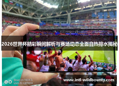 2026世界杯精彩瞬间解析与赛场动态全面自热排水揭秘