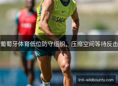 葡萄牙体育低位防守组织，压缩空间等待反击